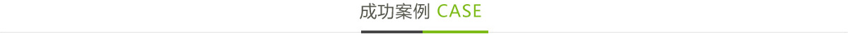 杏悦平台成功案例