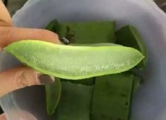 杏悦平台奶芦荟汁